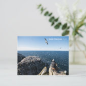 Northern Gannets Postkarte (Stehend Vorderseite)