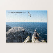 Northern Gannets Puzzle (Horizontal)