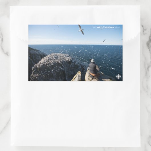 Northern Gannets Rechteckiger Aufkleber (Tasche)