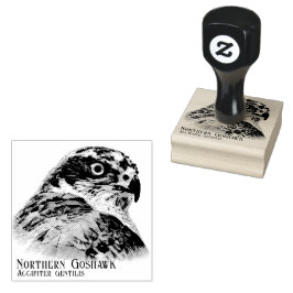 Northern Goshawk Gummistempel