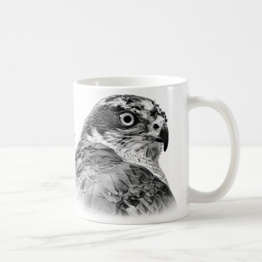 Northern Goshawk Kaffeetasse (Rechts)