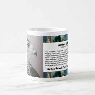 Northern Goshawk Kaffeetasse