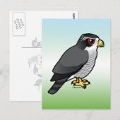 Northern Goshawk Postkarte (Vorne/Hinten)