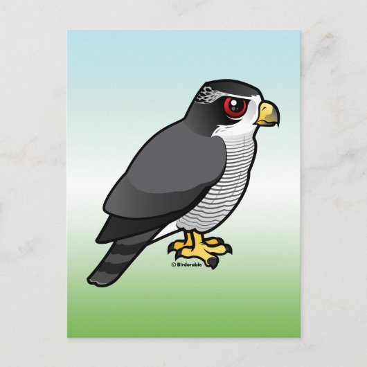 Northern Goshawk Postkarte (Vorderseite)