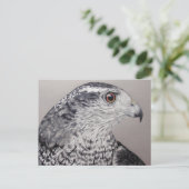 Northern Goshawk Postkarte (Stehend Vorderseite)