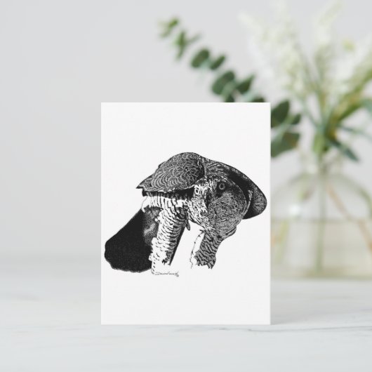 Northern Goshawk Postkarte (Stehend Vorderseite)