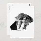 Northern Goshawk Postkarte (Vorne/Hinten)