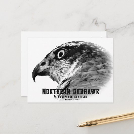 Northern Goshawk Postkarte (Vorderseite/Rückseite Beispiel)