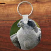 Northern Goshawk Schlüsselanhänger (Vorderseite)