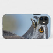 Northern Goshawk Screeching Case-Mate iPhone Hülle (Rückseite (Horizontal))