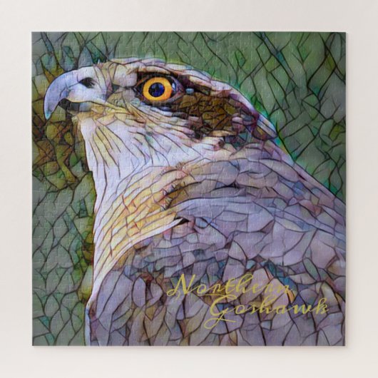 Northern Goshawk [Square Jigsaw puzzle] Puzzle (Vertikal)