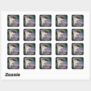 Northern Goshawk [Square Siegel] Quadratischer Aufkleber