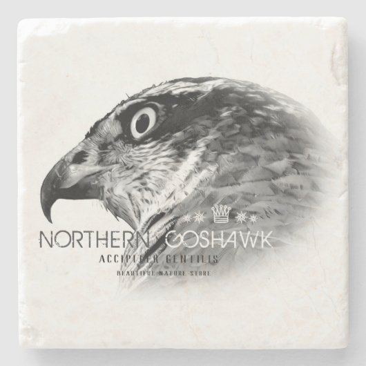 Northern Goshawk Steinuntersetzer (Vorderseite)