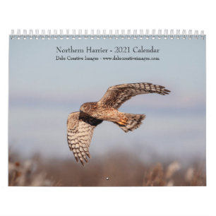 Northern Harrier 2021 Kalender