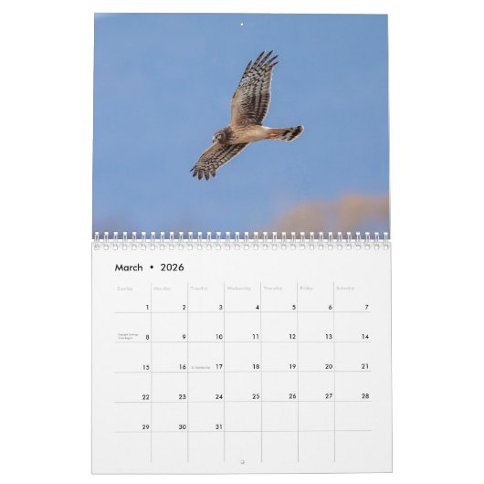 Northern Harrier 2021 Kalender (Mär 2026)