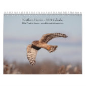 Northern Harrier 2021 Kalender (Titelbild)