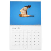 Northern Harrier 2021 Kalender (Jan 2026)