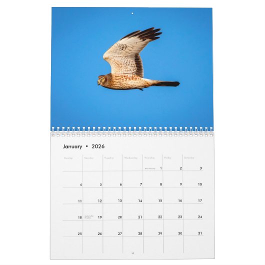 Northern Harrier 2021 Kalender (Jan 2026)