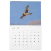Northern Harrier 2021 Kalender (Mär 2027)