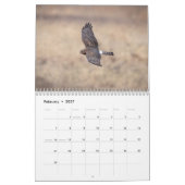 Northern Harrier 2026 Kalender (Feb 2027)