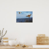 Northern Harrier and Kurz=Eared Owl Poster (Küche)