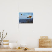 Northern Harrier and Kurz=Eared Owl Poster (Küche)