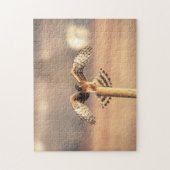 Northern Harrier auf den Shawangunk-Grasslands Puzzle (Vertikal)