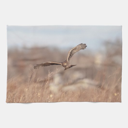 Northern Harrier Geschirrtuch (Horizontal)