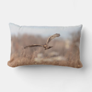 Northern Harrier Lendenkissen