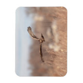 Northern Harrier Magnet (Vertikal)