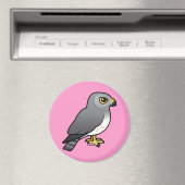 Northern Harrier männlich Magnet (In Situ (Geschirrspüler))