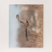 Northern Harrier Puzzle (Vertikal)