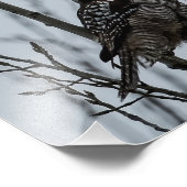 Northern Hawk Owl im Winter Fotodruck (Ecke)