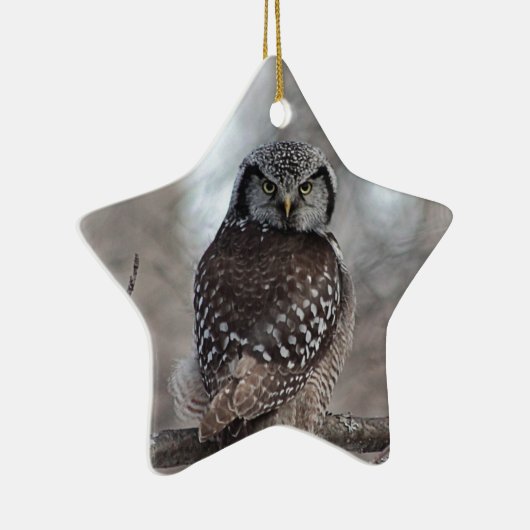 Northern Hawk Owl Keramik Ornament (Rechts)