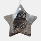 Northern Hawk Owl Keramik Ornament (Vorne)