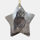 Northern Hawk Owl Keramik Ornament (Links)