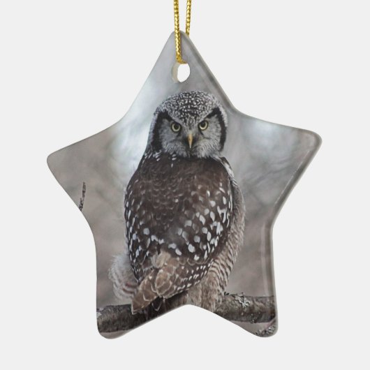 Northern Hawk Owl Keramik Ornament (Links)