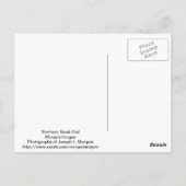 Northern Hawk Owl Postkarte (Rückseite)