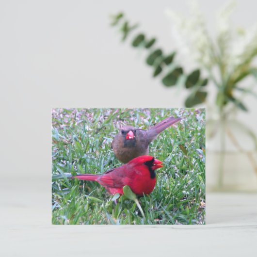 Northern Kardinal Couple Postcard Postkarte (Stehend Vorderseite)