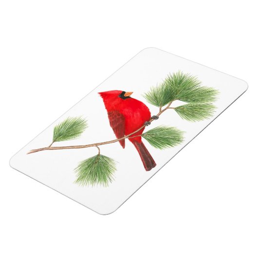 Northern Kardinal Flexi Magnet (Linke Seite)