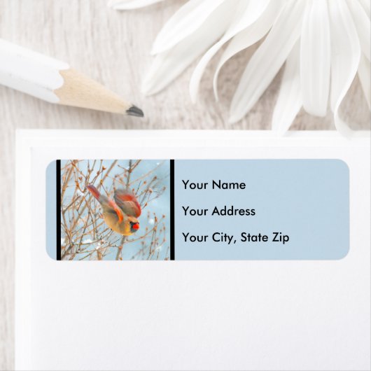 Northern Kardinal Flying - Original Fotografie (Insitu)