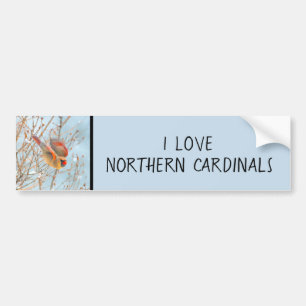 Northern Kardinal Flying - Original Fotografie Autoaufkleber