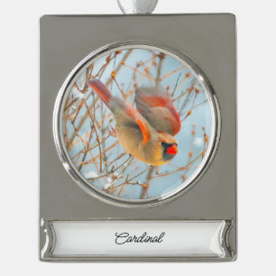 Northern Kardinal Flying - Original Fotografie Banner-Ornament Silber