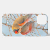 Northern Kardinal Flying - Original Fotografie iPhone Hülle (Rückseite (Horizontal))