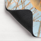Northern Kardinal Flying - Original Fotografie Mousepad (Ecke)