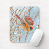 Northern Kardinal Flying - Original Fotografie Mousepad (Mit Mouse)