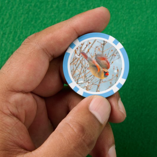 Northern Kardinal Flying - Original Fotografie Pokerchips (Hand)