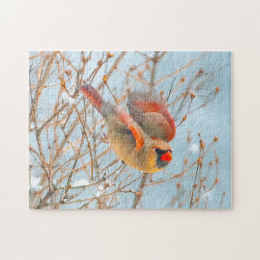 Northern Kardinal Flying - Original Fotografie Puzzle (Horizontal)