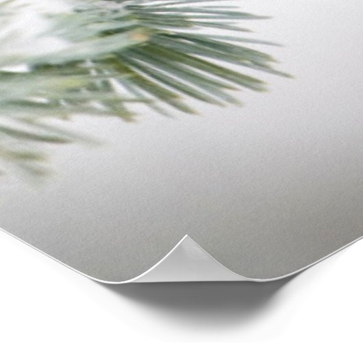 Northern Kardinal männlich on Blue Atlas Cedar Poster (Ecke)