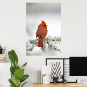 Northern Kardinal männlich on Blue Atlas Cedar Poster (Heimbüro)